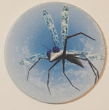 Flying Spider Like Insect Pog Cap