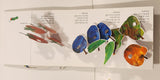 The Very Hungry Caterpillar Pop-Up Book Hard Cover Book 40th Anniversary