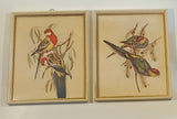 John Gould Native Birds Parrots Art Print Painting Set of 2