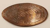 San Diego Wild Animal Park Pressed Penny Guitar Pick