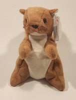 1996 Ty Beanie Baby 'Nut' Squirrel 6" Stuffed Plush Toy New with tag