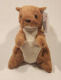 1996 Ty Beanie Baby 'Nut' Squirrel 6" Stuffed Plush Toy New with tag