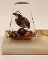 Vintage Hand Painted Wood Quail Bird in Lucite on Onyx Stone Slab