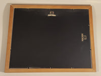 1997 The Disney Store The Hunchback of Notre Dame Exclusive Commemorative Lithograph Wood Framed Print