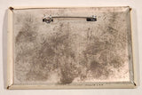 British Columbia Look What We've Got 2 1/8" x 3 1/8" Pin
