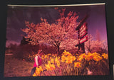 Vintage Foto Carsten Vancouver B.C. Queen Elizabeth Park Conservatory 4 3/4" x 6 1/2" Photograph
