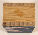 Fire Crow Bird Blue and Pink Art Picture on Wood Block Signed Tamara Phillips