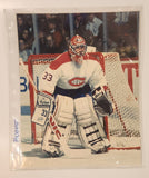 Norman James ProStat Sports Posters NHL Montreal Canadiens #33 Patrick Roy 8" x 10" Poster