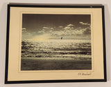 CG Maxwell Ocean Bird Flying Above Waves At The Beach 7 3/4" x 9 3/4" Framed Art Print