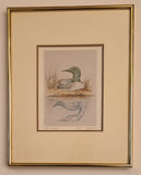 Sue Coleman "The Loon" 11 1/4" x 14 1/4" Framed Art Print