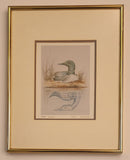 Sue Coleman "The Loon" 11 1/4" x 14 1/4" Framed Art Print