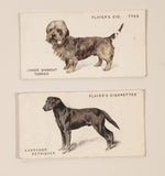 Player's Cigarettes Dogs Tobacco Trading Cards Lot of 2