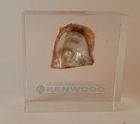 Vintage Kenwood Electronics Lucite Clear Resin Pearl in Shell Paperweight - Treasure Valley Antiques & Collectibles