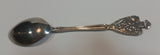 Vintage Beautiful Houston British Columbia Canada Fish Souvenir Collectible Spoon - Treasure Valley Antiques & Collectibles