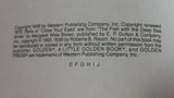 1975 The Sleepy Book - Little Golden Books - 301-41 - "E" Edition - Collectible Children's Book - Margret Wise Brown - Treasure Valley Antiques & Collectibles