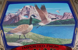 Vintage Molson Canadian Since 1786 Canada Goose Mountain Lake Scene Advertising Mirror - Treasure Valley Antiques & Collectibles