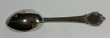Vintage Washington State Red Apple Fruit Metal Souvenir Spoon with Case Travel Collectible - Treasure Valley Antiques & Collectibles
