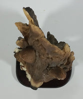 Meerchi MRH Wolf Wolves Pups Resin Sculpture on a Wooden Base - 10 1/4" Tall - Treasure Valley Antiques & Collectibles