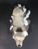 Wolf Howling On Snow Covered Rocks Heavy Resin Sculpture - 7" Tall - Treasure Valley Antiques & Collectibles