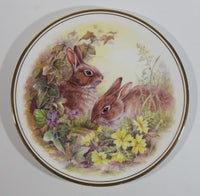 Vintage Royal Vale "European Wild Rabbit" Bunny Hare Bone China Collectible Wildlife Plate