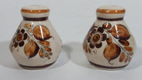 Cat Mexico Cream and Brown Floral Pattern Salt & Pepper (Both Salt) Pottery Shaker Set