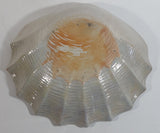 Iridescent Mother of Pearl Glazed Clam Shell Ceramic Center Bowl