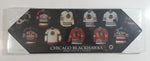 Chicago Blackhawks NHL Ice Hockey Team "Evolution Of A Legend" Jersey History 5" x 15" Wall Plaque Board - New Sealed in Package