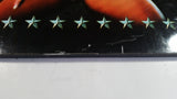 Lynyrd Skynyrd Rock Band Babe in Bikini in Front of American Flag 11 1/2" x 16" Wood Wall Plaque Music Collectible