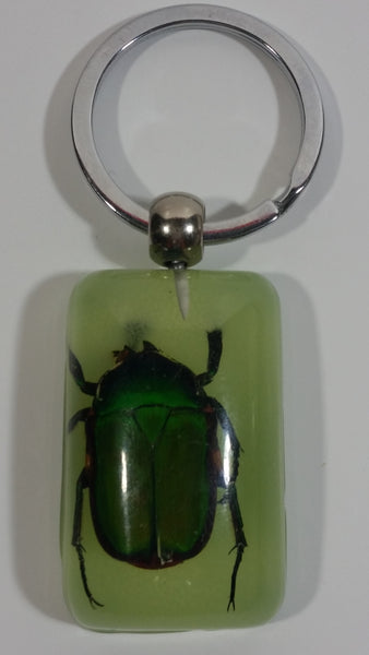 Light Green Acrylic Real June Bug Insect Keychain