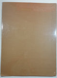 Vintage 1974 Portal Productions Sunlight Soap "This Is The Way We Wash The Clothes" 18" x 24" Print Litho In U.S.A.