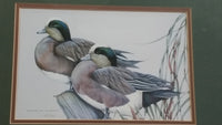 Ducks Unlimited Artist - Art Lamay "Whimsical Wigeons" Framed Print