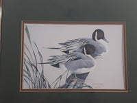 Ducks Unlimited Artist Art Lamay "Pintail Pals" 11" x 13" Framed Wildlife Art Print
