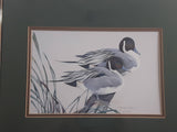 Ducks Unlimited Artist Art Lamay "Pintail Pals" 11" x 13" Framed Wildlife Art Print