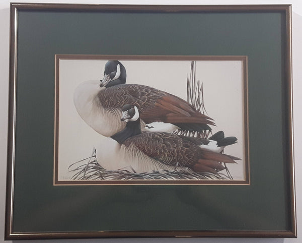 Ducks Unlimited Artist Art Lamay "True Companions" 11" x 13" Framed Wildlife Art Print