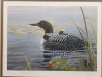 Luke Raffin "Loon Family" Painting Wildlife Art Print 11 3/4" x 14 3/4" Signed