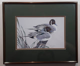 Ducks Unlimited Artist Art Lamay "Pintail Pals" 11" x 13" Framed Wildlife Art Print