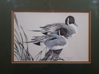 Ducks Unlimited Artist Art Lamay "Pintail Pals" 11" x 13" Framed Wildlife Art Print