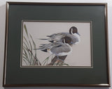 Ducks Unlimited Artist Art Lamay "Pintail Pals" 11" x 13" Framed Wildlife Art Print