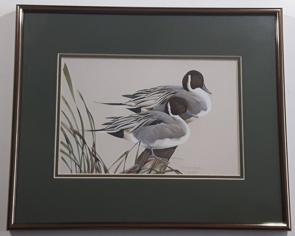 Ducks Unlimited Artist Art Lamay "Pintail Pals" 11" x 13" Framed Wildlife Art Print
