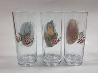 Vandor The Wizard of Oz The Tin Man, Scarecrow, and The Cowardly Lion Characters 6" Tall Glass Cups Set of 3