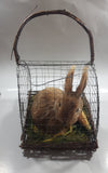 Bunny Rabbit with Carrot in Metal and Wood Cage