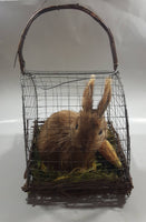 Bunny Rabbit with Carrot in Metal and Wood Cage