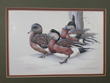 Ducks Unlimited Artist Art Lamay "Wintering Widgeons" 11" x 13" Framed Wildlife Art Print - Glass Missing