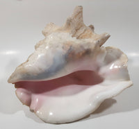 Large 8" Tall Horn Queen Conch Shell Coin Bank