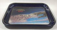 Vintage 1980 60th Anniversary of Coca-Cola in Vancouver 1920-1980 Aerial Shot of Downtown Vancouver and Part of Stanley Park Official Blue Metal Beverage Tray