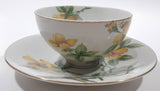 Vintage Occupied Japan Meito Norleans China Sun Glory Pattern Tea Cup and Saucer Plate Set