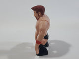 2012 WWE World Wrestling Entertainment Sheamus Rumbler Miniature Action Figure 2 1/4" Tall