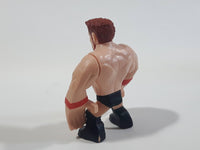 2012 WWE World Wrestling Entertainment Sheamus Rumbler Miniature Action Figure 2 1/4" Tall