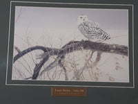 Robert Bateman Fallen Willow - Snowy Owl Wildlife Art Print 14" x 17"