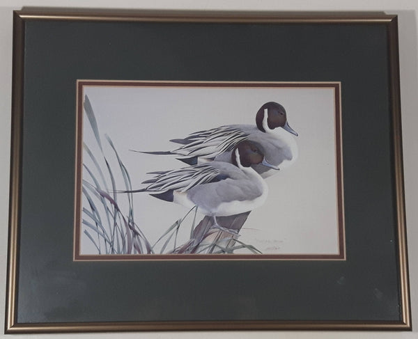 Ducks Unlimited Artist Art Lamay "Pintail Pals" 11" x 13" Framed Wildlife Art Print